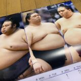 のむら日記Ⅱ　第861号　大相撲カレンダー2023　相撲手帳