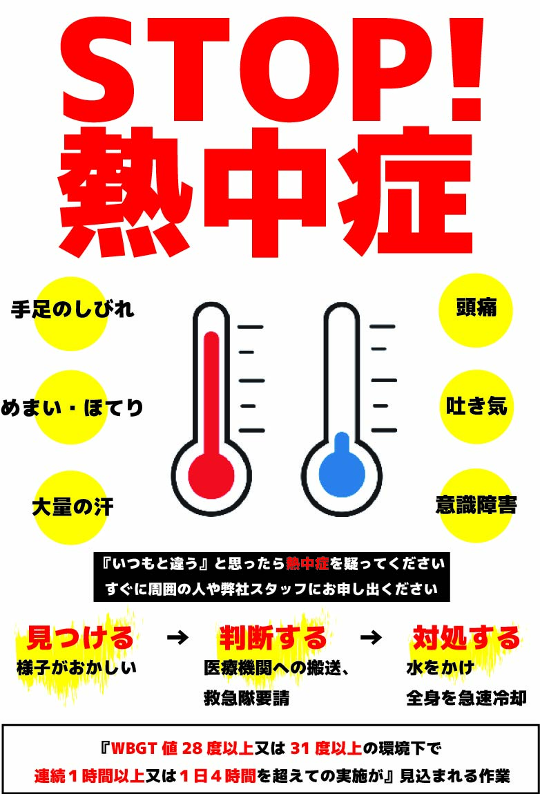 活動歴および当時の関連ビジュアル記録